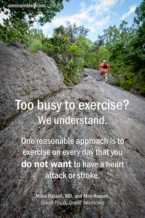 A picture quote from Good Food, Great Medicine by Miles Hassell, MD, and Mea Hassell. "Too busy to exercise? We understand. One reasonable approach is to exercise on every day that you do not want to have a heart attack or stroke."