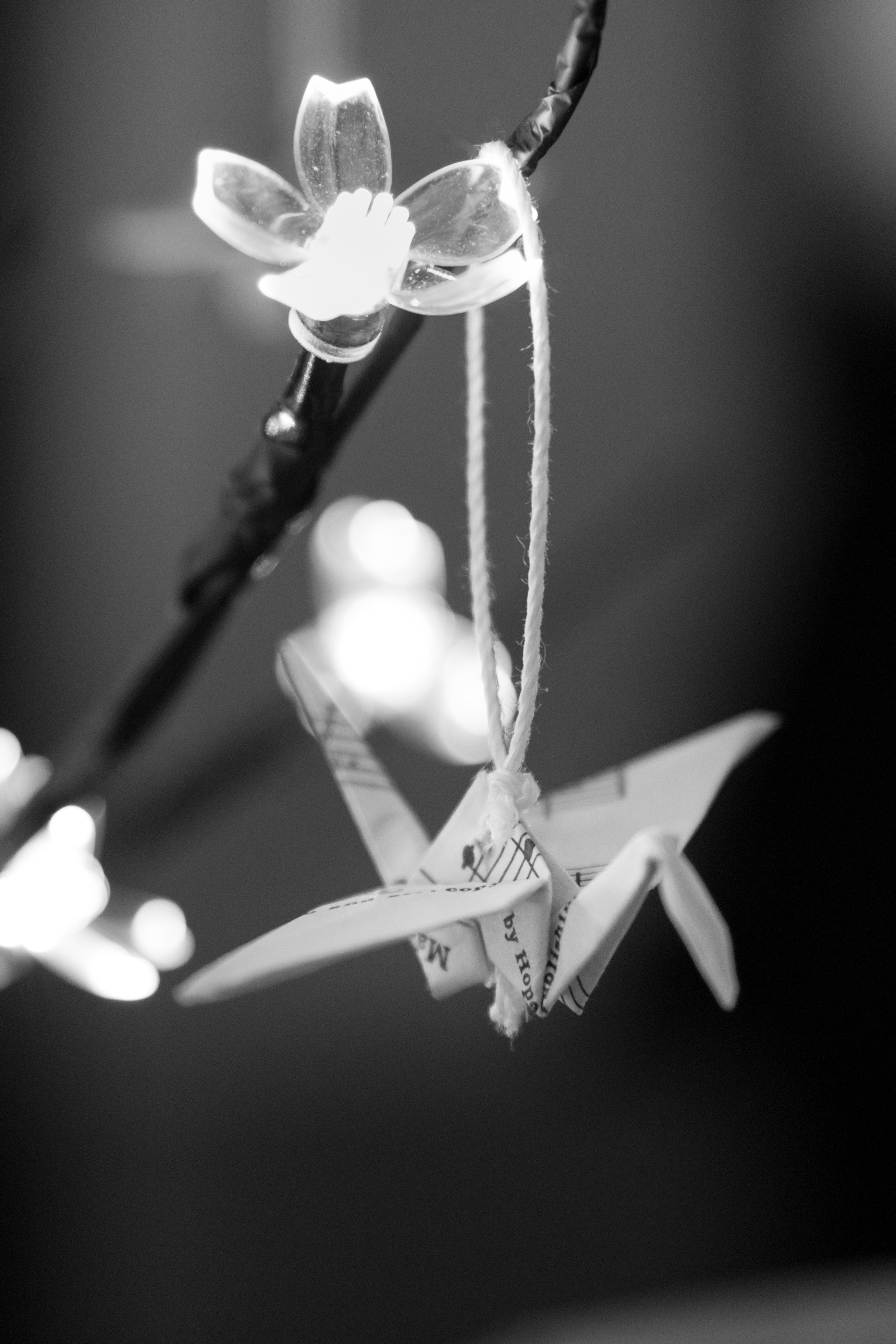 How to Display 1000 Cranes (Senbazuru) | OmniRambles